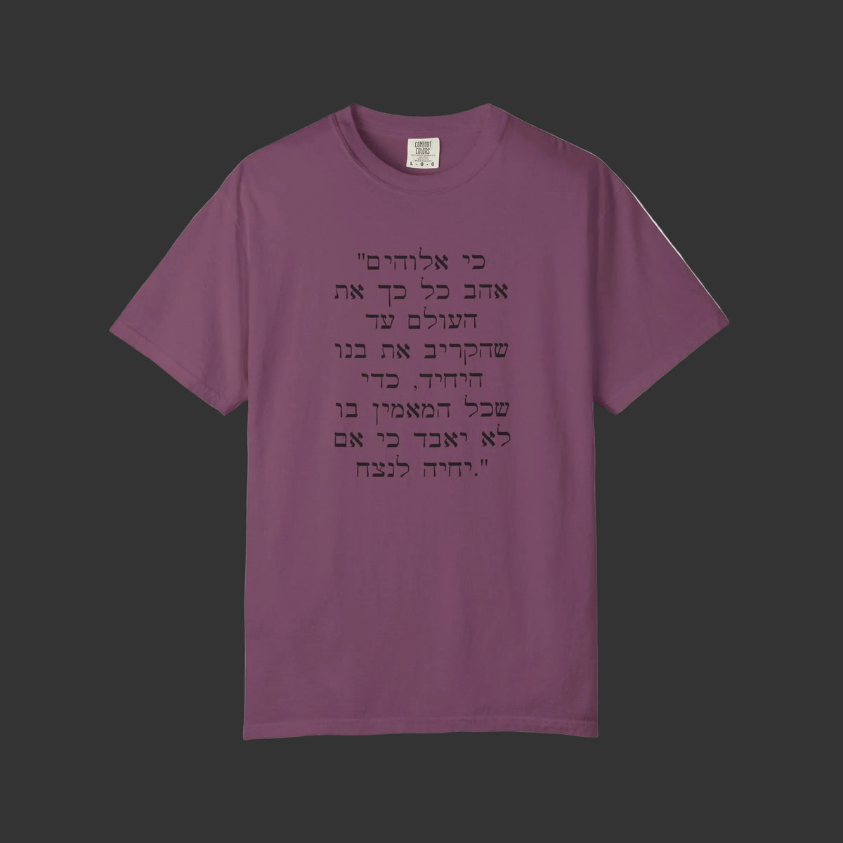John 3:16 in Hebrew | Crucifix T-shirt